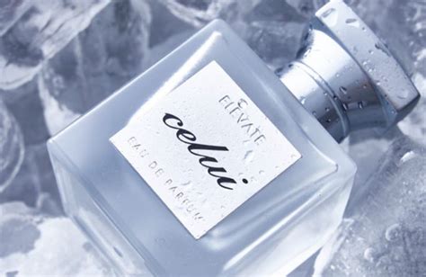 elevate parfum wo kaufen|CELUI EAU DE PARFUM kaufen .